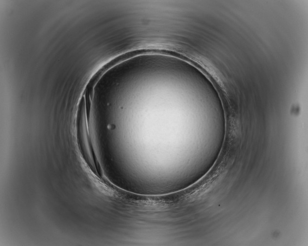 X0000100370980200806131034