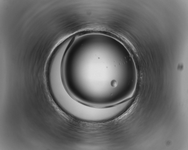 X0000100370981200806131034