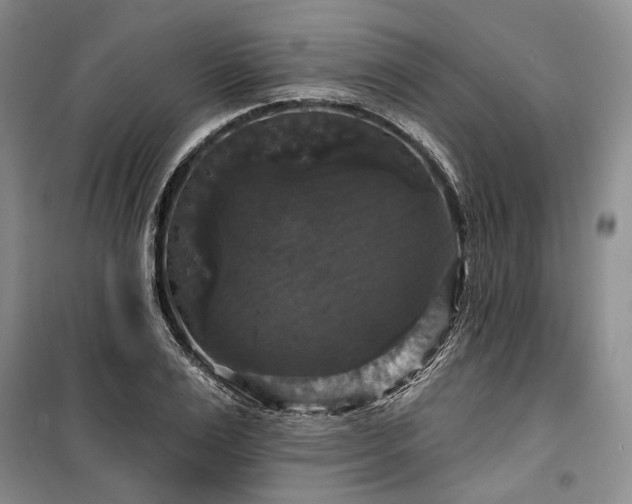 X0000100370983200806131034