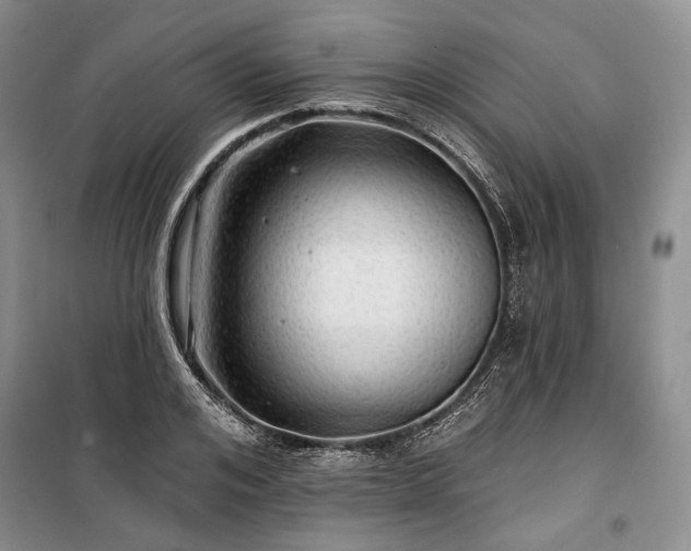 X0000100370984200806131034