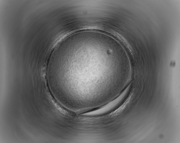 X0000100370985200806131034