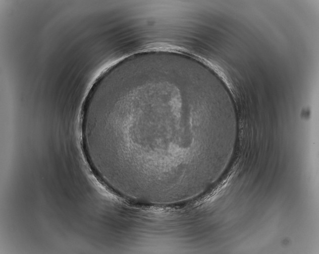 X0000100370987200806131034