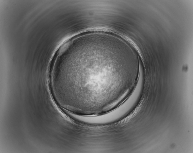 X0000100370989200806131034