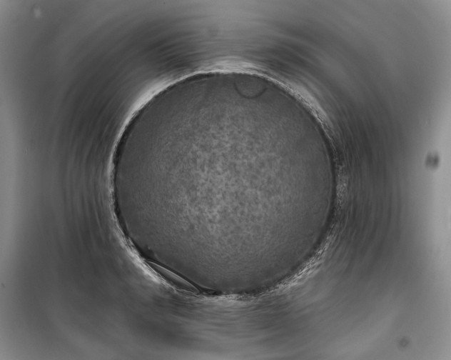 X0000100370990200806131034