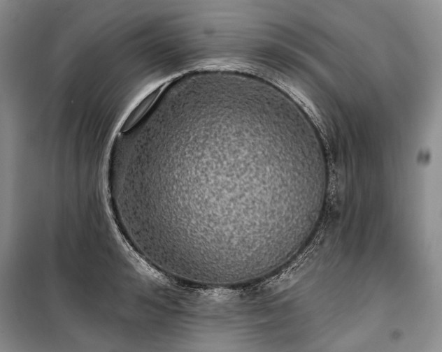 X0000100370992200806131034