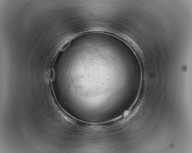 X0000100370993200806131034