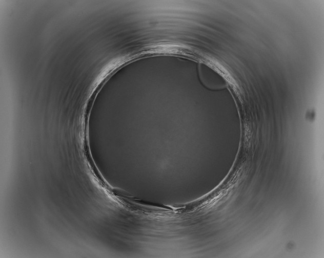 X0000100370994200806131034