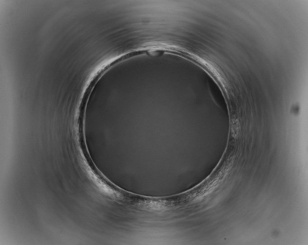 X0000100370995200806131034