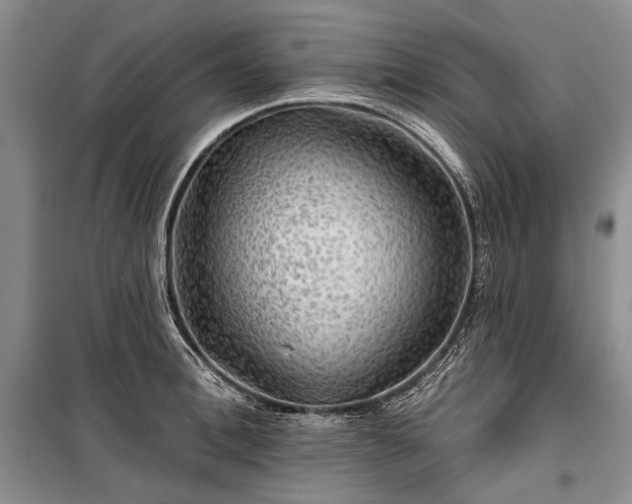 X0000100370996200806131033