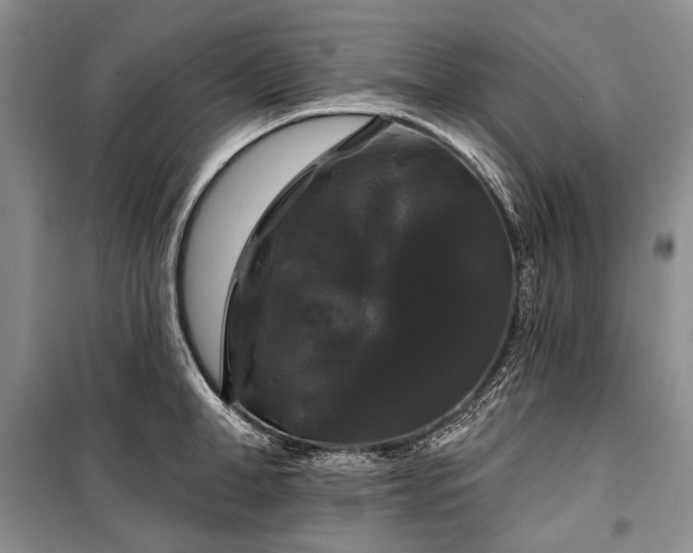 X0000100370998200806131033