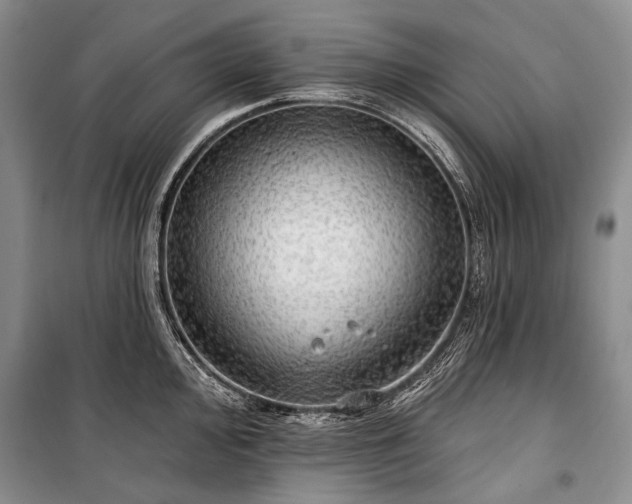 X0000100371000200806131033