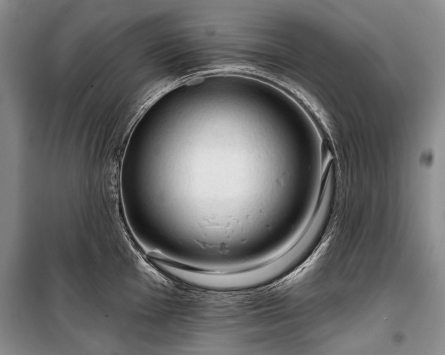 X0000100371001200806131033