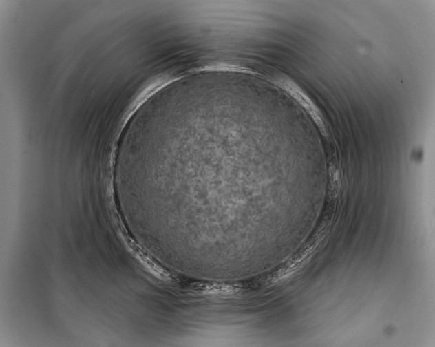 X0000100371002200806131033