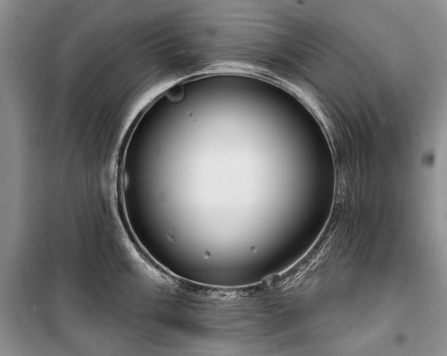 X0000100371003200806131033