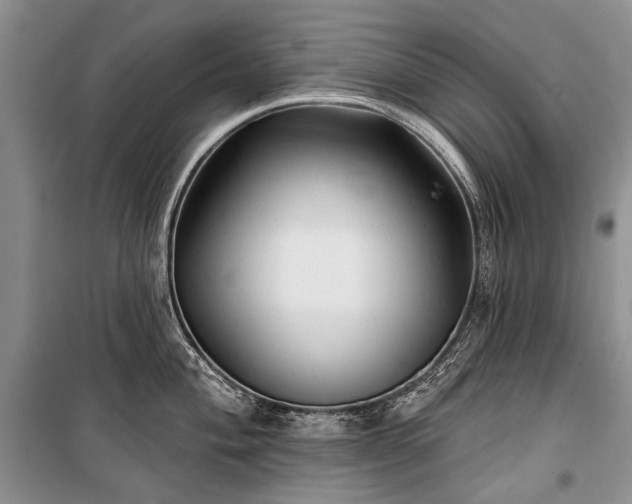 X0000100371004200806131033