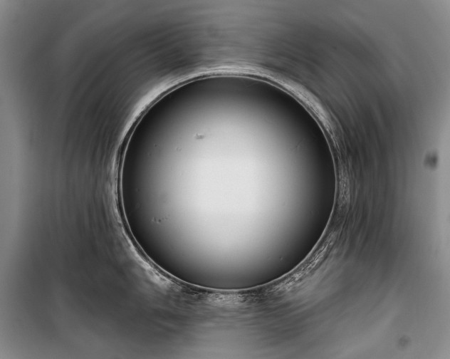 X0000100371006200806131033