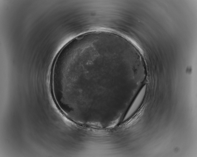 X0000100371007200806131033