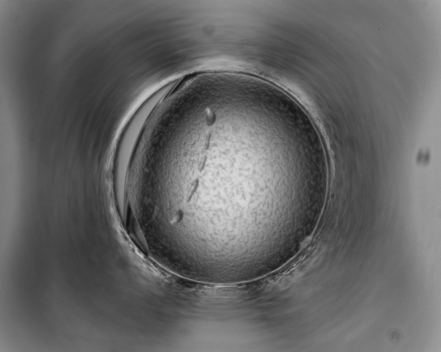 X0000100371008200806131033