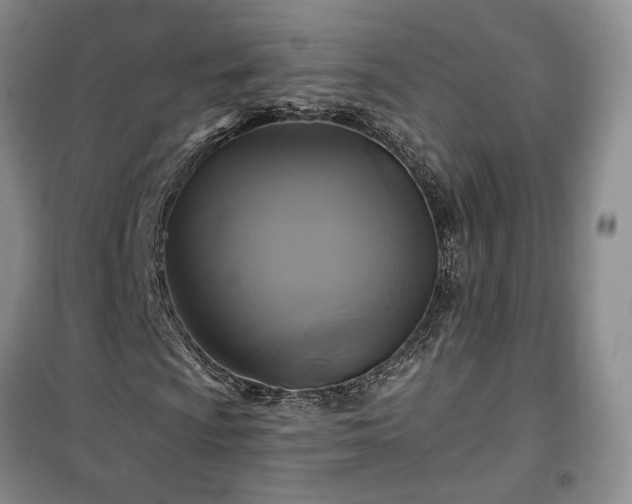 X0000100371009200806131032