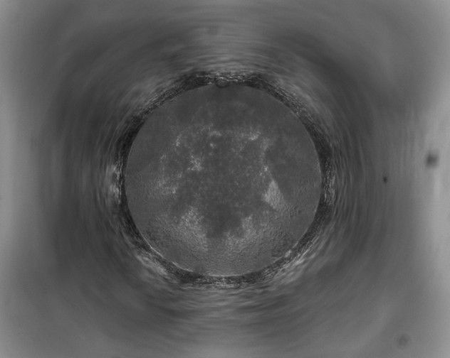 X0000100371010200806131033