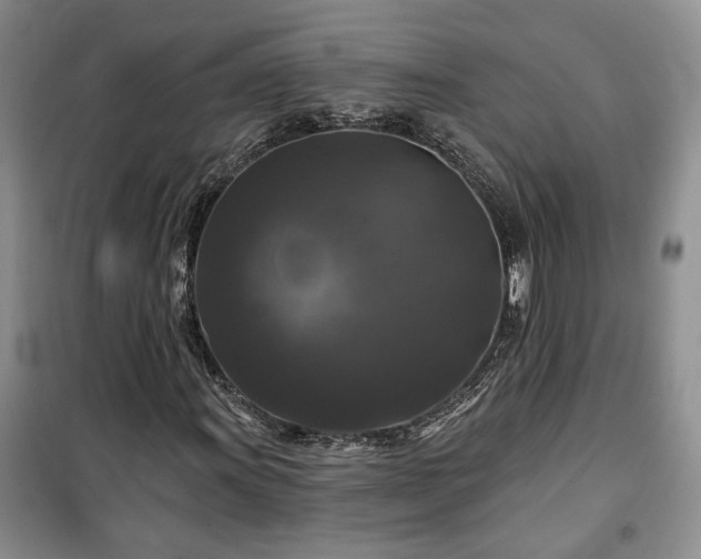 X0000100371011200806131033