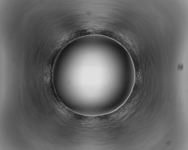 X0000100371012200806131033