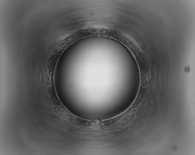 X0000100371013200806131033