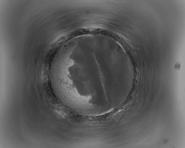 X0000100371014200806131033