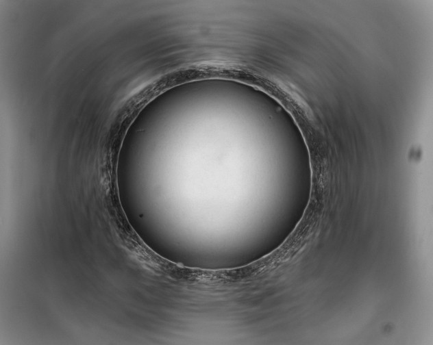 X0000100371015200806131033