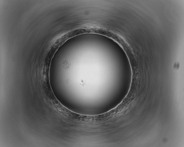 X0000100371016200806131033