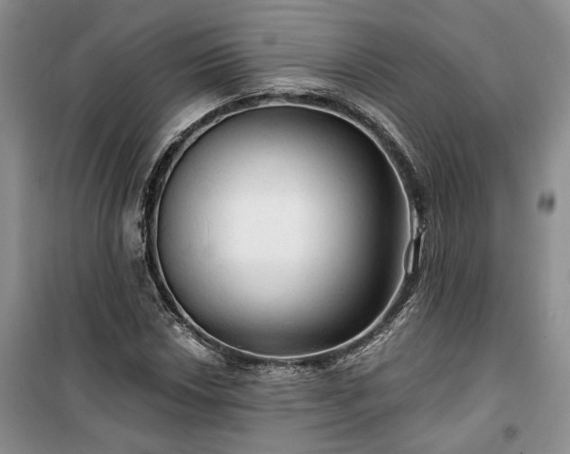 X0000100371018200806131033