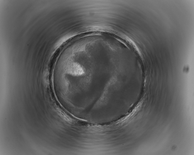 X0000100371019200806131033