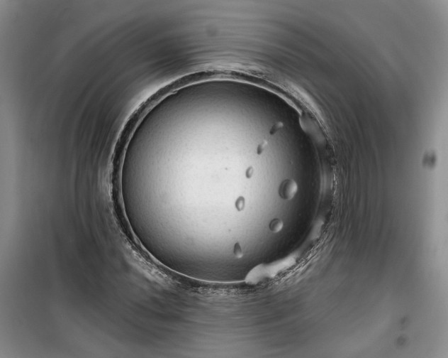 X0000100371020200806131033