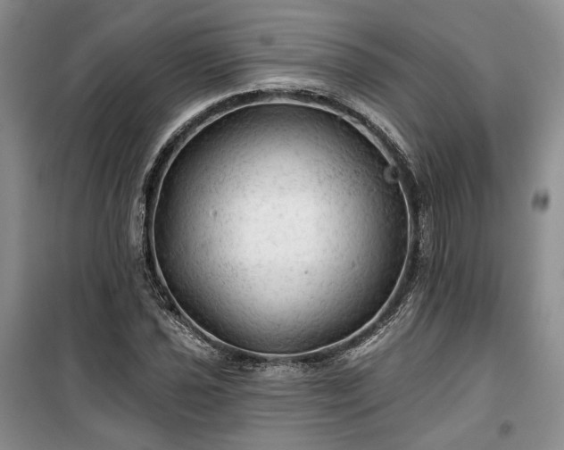 X0000100371021200806131033