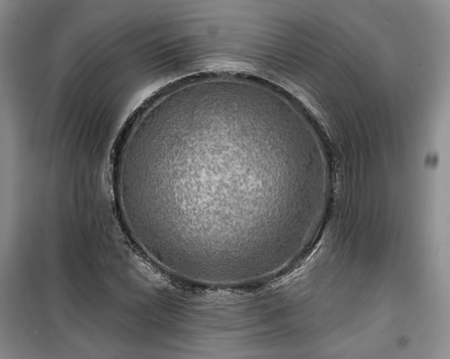 X0000100371022200806131033