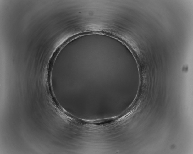 X0000100371023200806131033