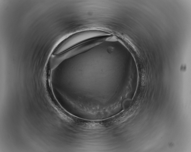 X0000100371024200806131033