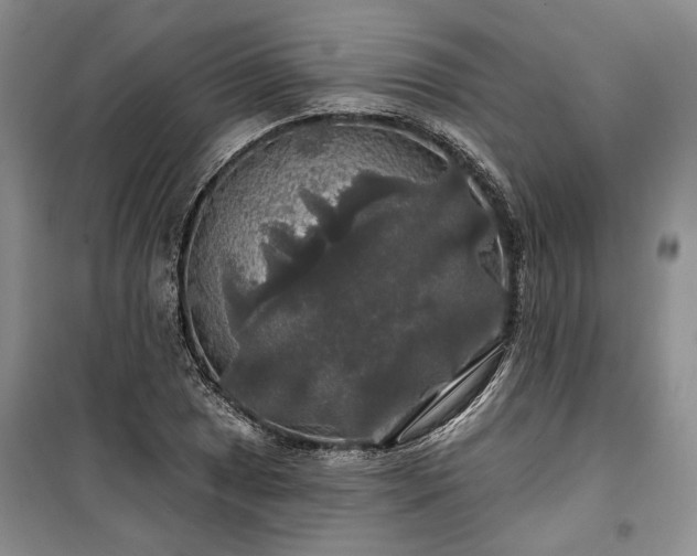 X0000100371025200806131033