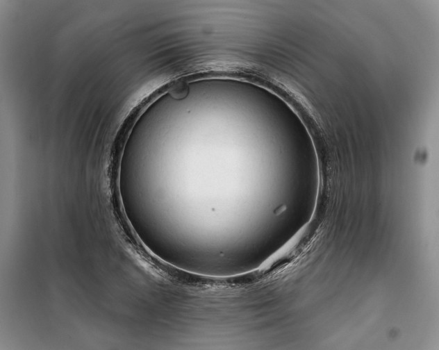 X0000100371026200806131033