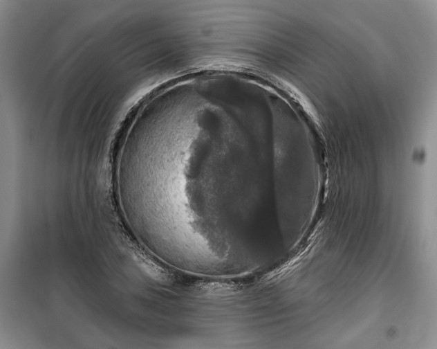 X0000100371027200806131033