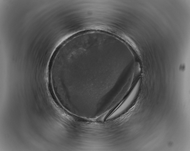 X0000100371028200806131033