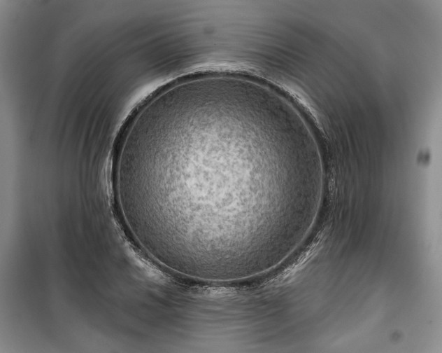 X0000100371030200806131033