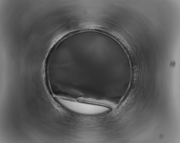 X0000100371031200806131033