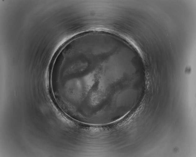 X0000100371032200806131033