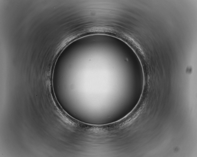 X0000100371033200806131033