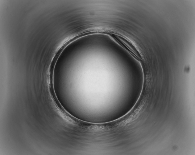 X0000100371034200806131033