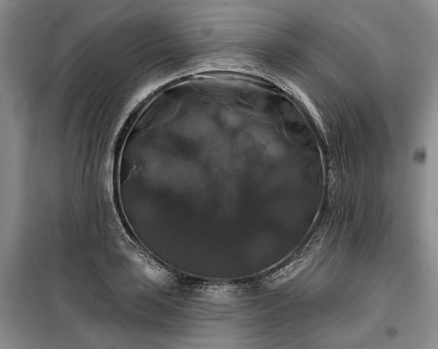 X0000100371035200806131033