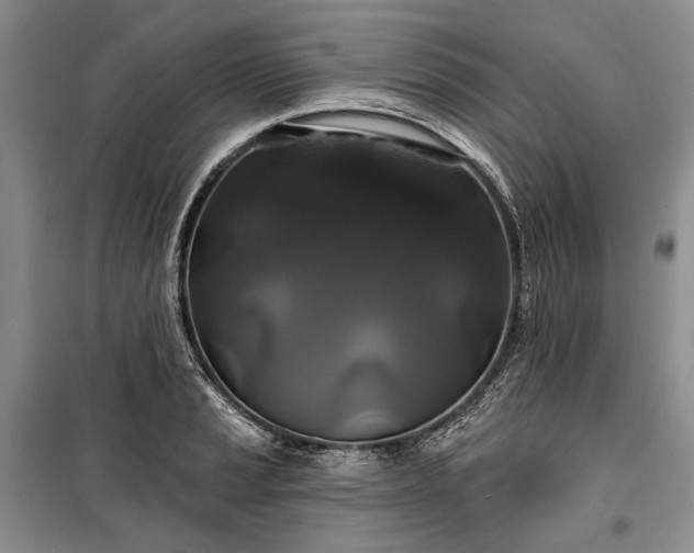 X0000100371037200806131033