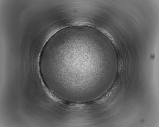 X0000100371039200806131033