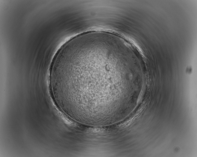 X0000100371040200806131033